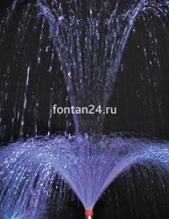 Hibiscus 3/4" Hibiscus 3/4"